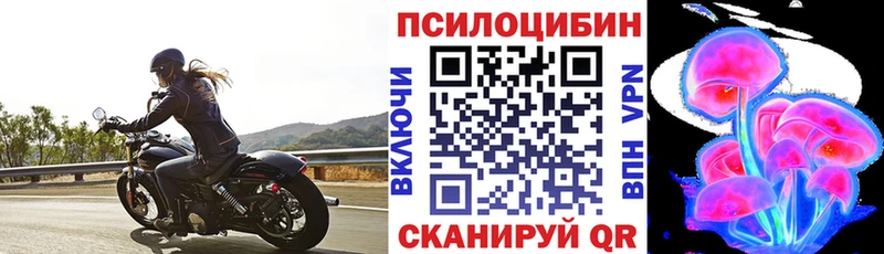 Галлюциногенные грибы Cubensis  гидра зеркало  Бабушкин 